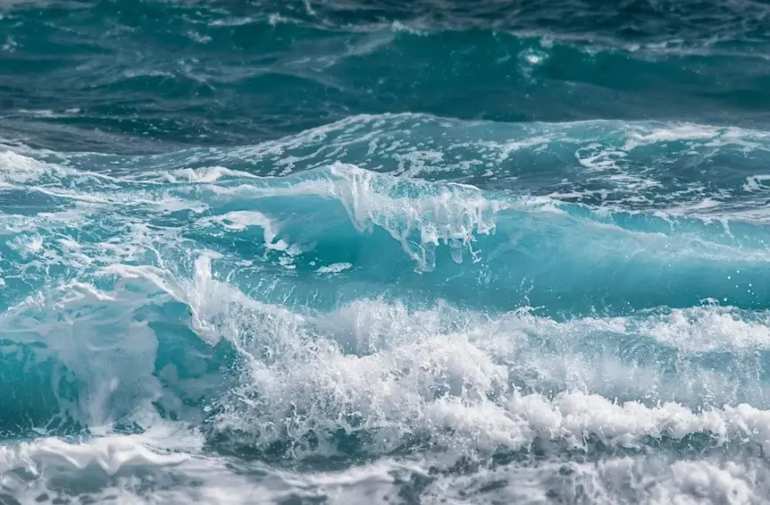 Найбільш солоний океан швидко стає менш солоним: вчені застерігають про жахливі наслідки