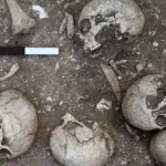 Шокуюче відкриття: археологи натрапили на поховання IX сторіччя з рештками&hellip;