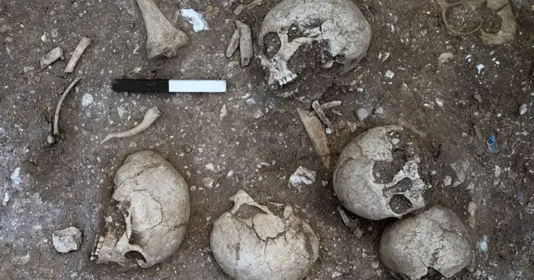 Шокуюче відкриття: археологи натрапили на поховання IX сторіччя з рештками гіганта. 12
