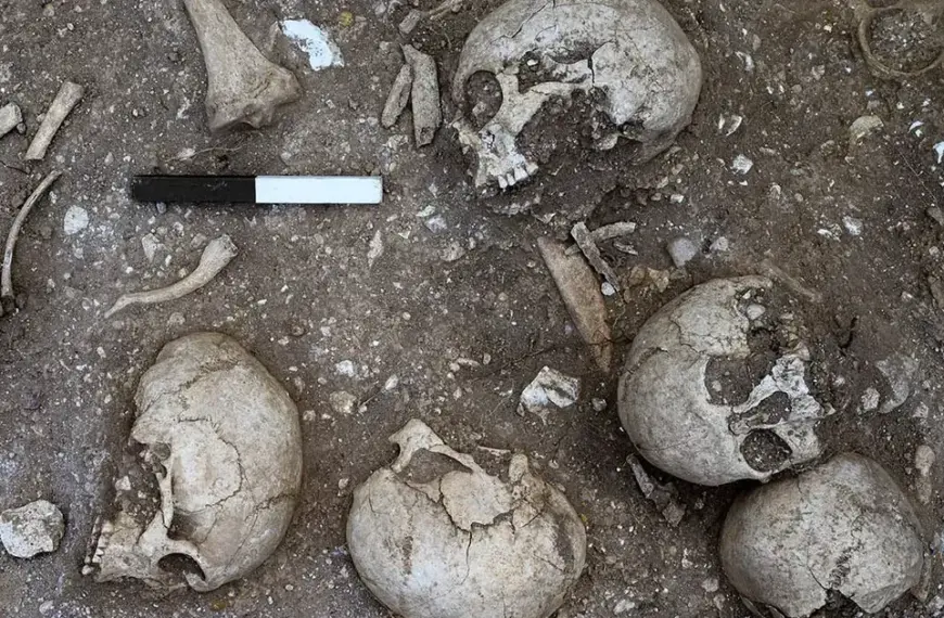 Шокуюче відкриття: археологи натрапили на поховання IX сторіччя з&hellip;