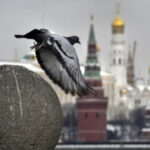 Головна 77 Спецслужби розкрили суть російських “кадрових підвищень”