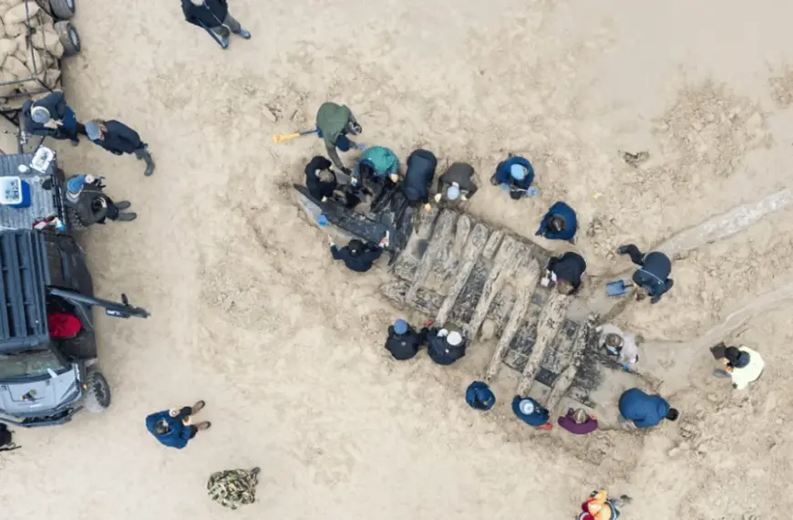 З-під пісків на нудистському березі дістали судно 17 століття: причини порятунку артефакту