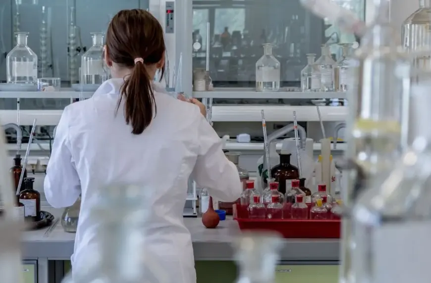 Дослідники створили людський спинний мозок і допомогли йому самовідновлюватися після пошкоджень.