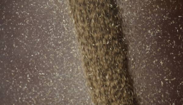 Україна вивезла 5 мільйонів тонн сільгосппродукції в січні