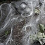 Головна 65 ЗМІ: Торік РФ придбала більше десятої частини світового обсягу оптоволокна