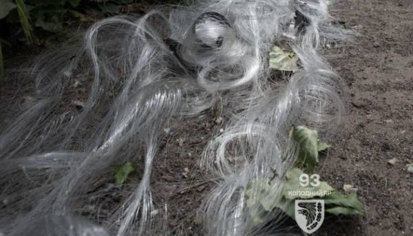 ЗМІ: Торік РФ придбала більше десятої частини світового обсягу оптоволокна