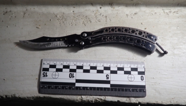 В Києві арештували вояка, що самовільно покинув частину та поранив ножем двох&hellip;