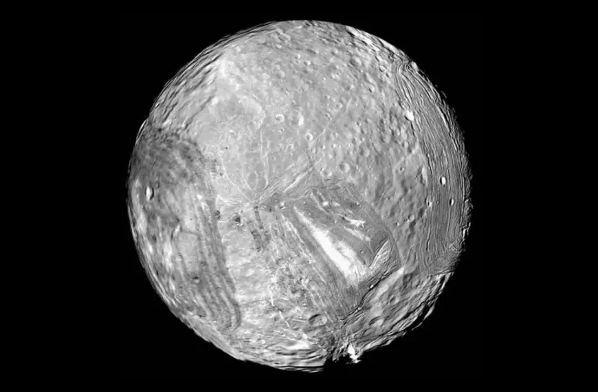 Життя на задвірках Сонячної системи: результати перегляду старих фото