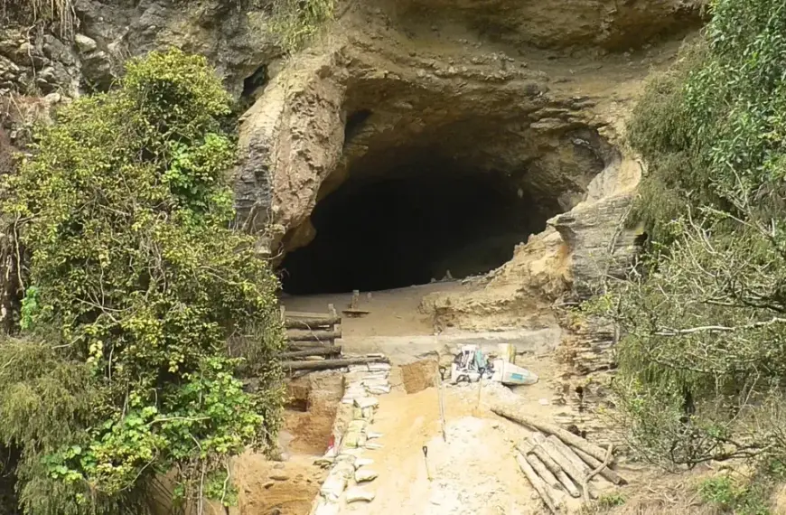 У новозеландській печері виявили “забутий світ”: деталі наукового відкриття