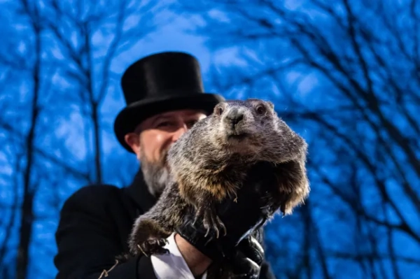 Ось повна історія Дня бабака та Панкссутоні Філа