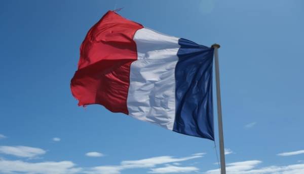 Франція зацікавлена у партнерстві з Україною в сільському господарстві, енергетиці та транспортній галузі - МЗС 19