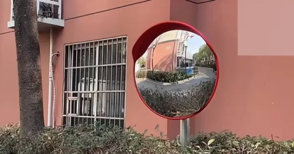 Машини продовжували зіткнутися після того, як жінка пересунула дзеркало заднього виду, щоб захистити свій фен-шуй 12