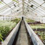 Економічне відомство поновлює надання грантів фермерам на розбудову садів і…