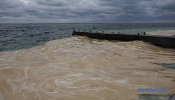 Російські рибалки-злочинці нанесли збитки Чорному й Азовському морям майже на ₴8,5 мільярдів. 11 Російські рибалки-злочинці нанесли збитки Чорному й Азовському морям майже на ₴8,5 мільярдів. 2