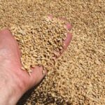 Головна 58 Розслідування: Екс-міністр внутрішніх справ Білорусі замішаний у викраденні зерна з…