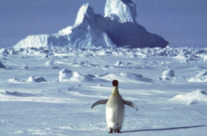 Під антарктичним льодом виявили десятки тисяч незвіданих об’єктів: розкриття&hellip;