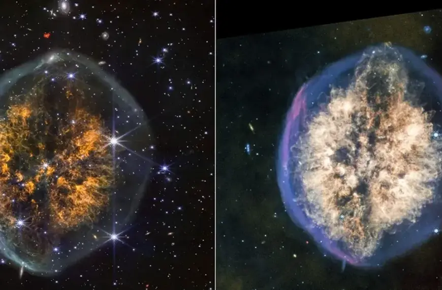 “Відкритий краніум” у Всесвіті: телескоп Вебб сфотографував туманність, схожу на мозок