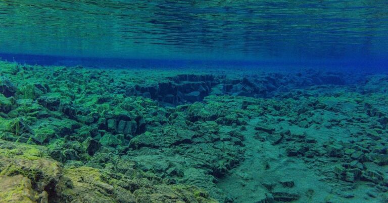 Африка розділяється навпіл: де утвориться новий океан 13