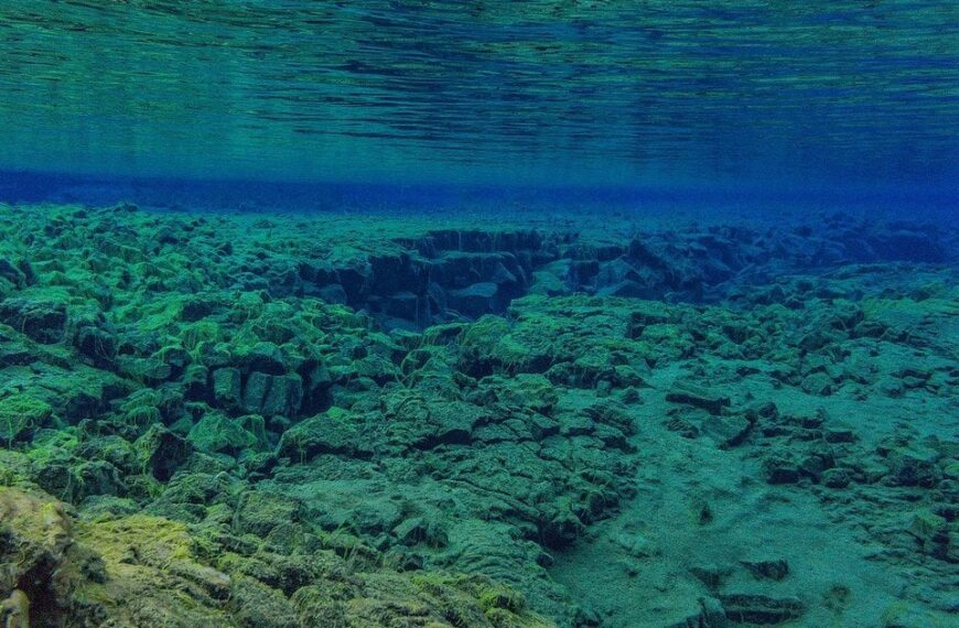 Африка розділяється навпіл: де утвориться новий океан