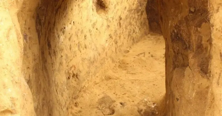 Загадковий тунель у німецькій глибинці: місце для потаємних обрядів? 17