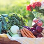 Вегетаріанська дієта зменшує ймовірність виникнення п’яти типів онкології: результати глобального&hellip;