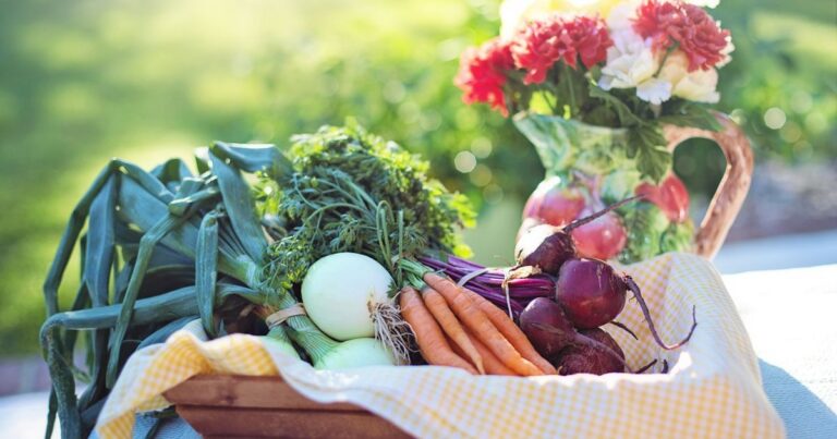 Вегетаріанська дієта зменшує ймовірність виникнення п'яти типів онкології: результати глобального аналізу 17