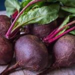 Головна 43 В Україні впали ціни на звичайні буряки