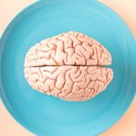 Дослідники виявили харчування, що сповільнює старіння мозку більш як на&hellip;