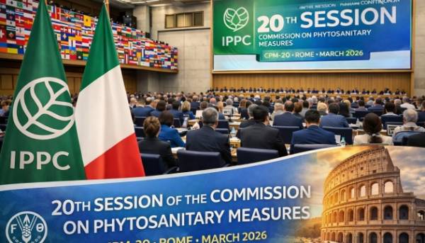 Головна 54 Україна тримає аграрний експорт та збільшує міжнародну вагу,…