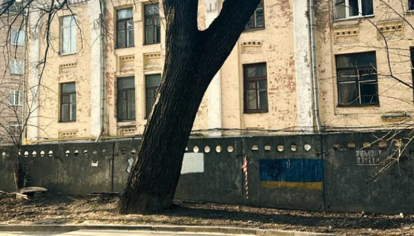Київський дуб Пимоненка визнано природною пам'яткою місцевого значення 7