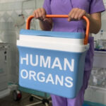 На Хмельниччині після смерті жінки вилучили парні нирки для пересадки&hellip;