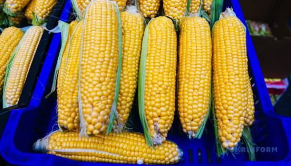 В лютому Україна вивезла п’ять мільйонів тонн сільгосппродукції.