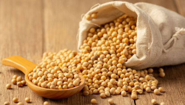 Соя в Україні зросла в ціні.