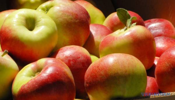 В українських магазинах зросли ціни на яблука.