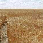 Минулого року в Україні було реалізовано більш як 356 тисяч&hellip;