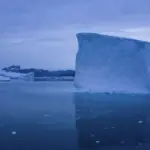 Арктика стає дедалі шумнішою: науковці тривожаться через галас у Північному&hellip;