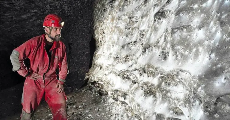 Сірчана печера: знайдено величезне павуче поселення. 2