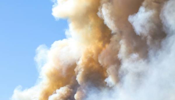 Головна 50 Атаки на фабрики та гавані в Ленінградській області…