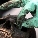 Загадки зубів доби заліза: життя та раціон людей 27 століть&hellip;