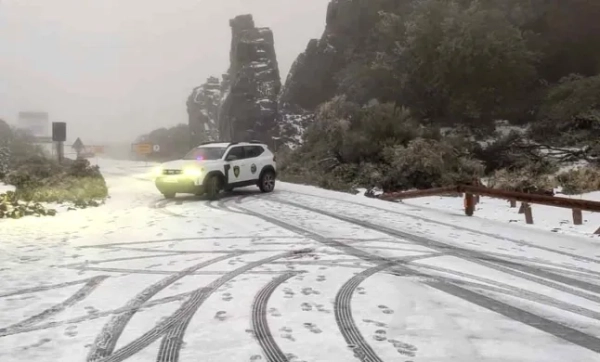 Тенерифе засипало снігом після шторму Тереза, що пронісся через туристичний центр 11
