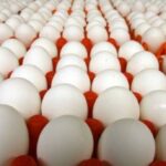 Яєчний експорт з України в лютому зменшився.