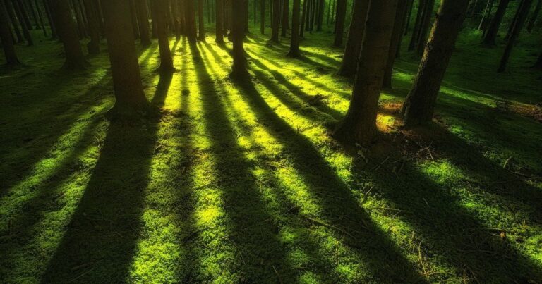 Затоплений край: що розказали науковці про секрети Доггерленду? 9