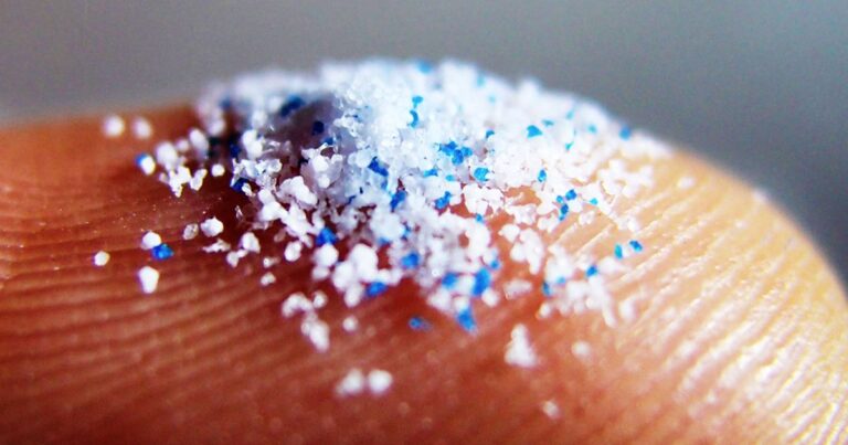 Дослідження: Мікрочастинки пластику здатні перешкоджати імунним клітинам та пригнічувати захист від інфекцій. 1