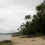 Головна 62 Нове дослідження: острів Фіджі, можливо, рукотворний, віком 1200 років