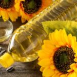 Рекордний експорт соняшникової олії з України в березні.