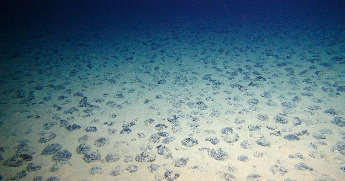 Polymetallic nodules. Photo: CC BY 4.0 Polymetallic nodules. Photo: CC BY 4.0