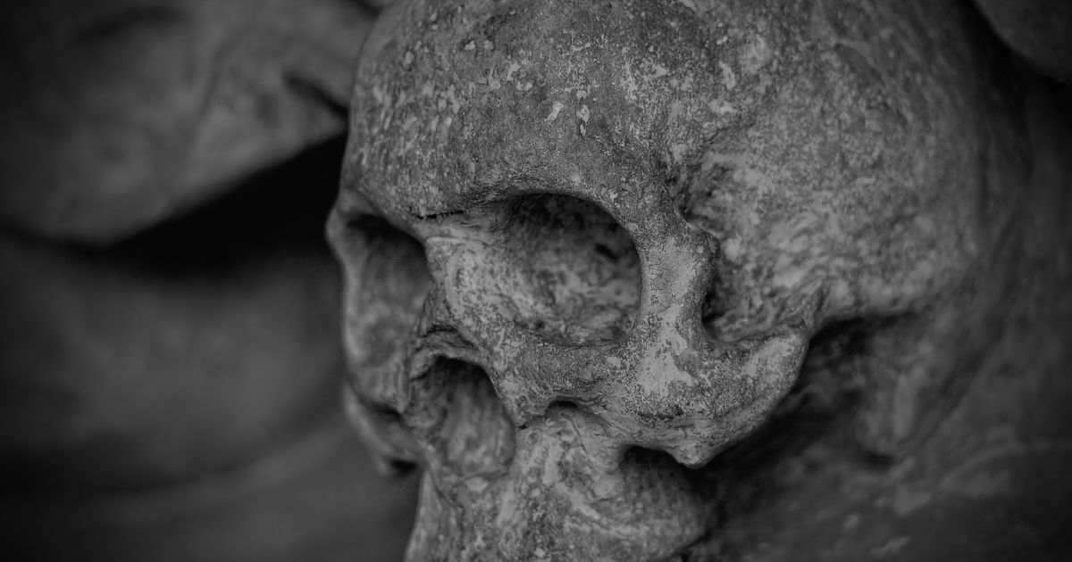 Skull Skull