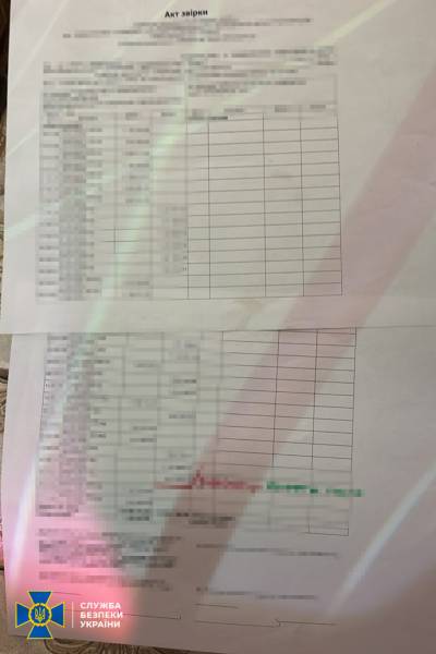 Служба безпеки виявила багатомільйонне розкрадання під час придбання товарів для Трипільської та Зміївської теплових електростанцій 12