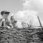 У Києві проведуть особливий показ кінострічки «Тореадори з Васюківки»