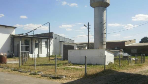 Фонд держмайна виставляє на продаж завод з виробництва вина на Одещині.
